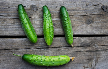 fresh farm cucumbers
