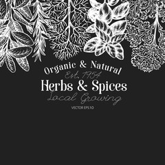 Culinary herbs and spices banner template. Vector background for design menu, packaging, recipes, label, farm market products. Hand drawn vintage botanical illustration on chalk board.