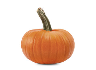 Pumpkin isolated on white background