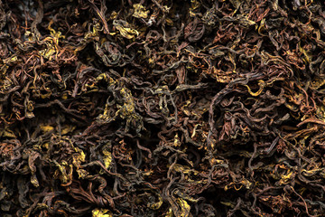 Drying and fermentation of tea willow