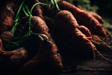 Fresh carrots from the garden close-up on a wooden background