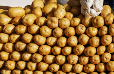 Organic young potatoes on market. Vegetables background.