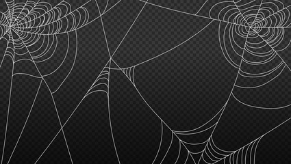 spider web isolated on transparent background vector illustration