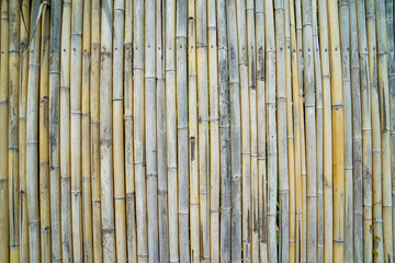 bamboo fence background