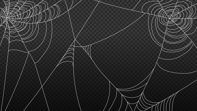 Spider Web Isolated On Transparent Background Vector Illustration