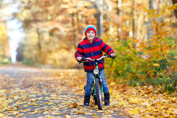 Little kid boy in colorful warm clothes in autumn forest park driving a bicycle