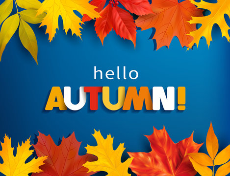 Autumn greeting background with colored leaves border. Vector illustration.
