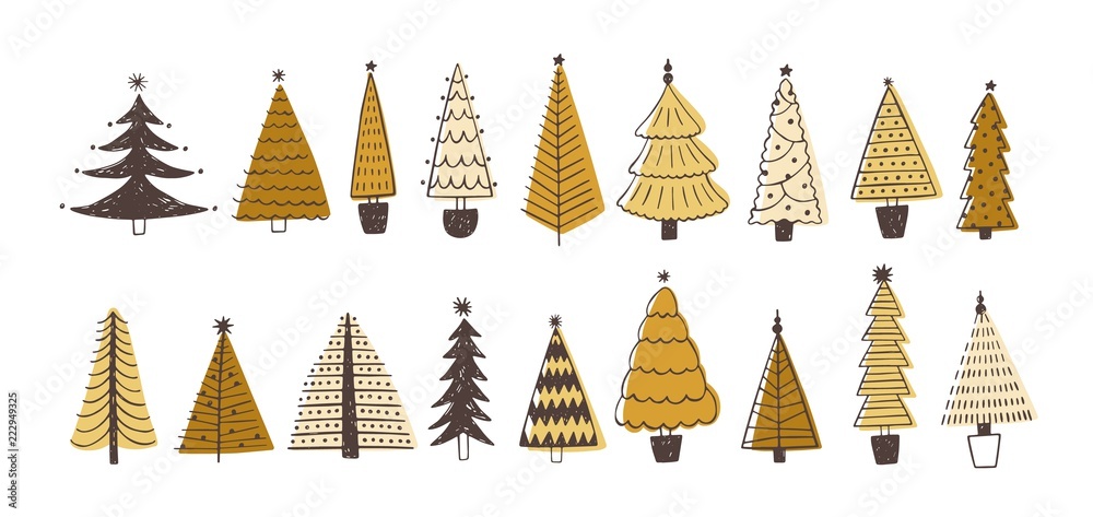 Poster set of various firs, pines or spruces decorated with baubles. bundle of winter coniferous forest chr