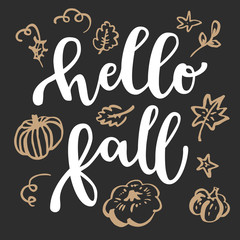 Hello Fall. Autumn and Thanksgiving modern calligraphic hand drawn greeting card © babayuka