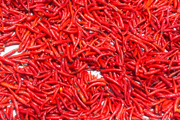 Fototapeta premium Red chilli exposed to sunlight to get dried