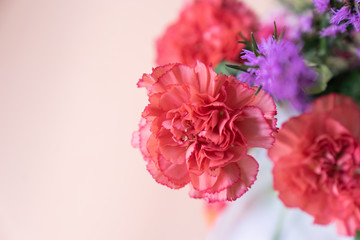 top view close up red pink carnation bouquet with pink background
