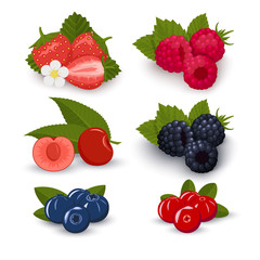 Strawberries, raspberries, blackberries, blueberries, cherries, cranberries. Vector illustration.