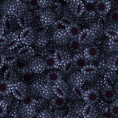 Seamless pattern from blackberries closeup. Background. Vector illustration
