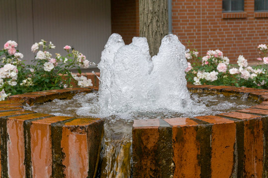 Water Fountain In The Neighborhood