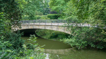 Fototapeta premium Bridge in the park surrounded by green