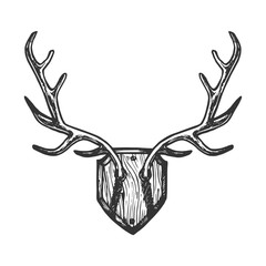 Deer horns engraving vector illustration. Scratch board style imitation. Black and white hand drawn image.