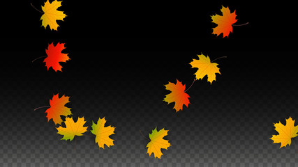 September Vector Background with Golden Falling Leaves. Autumn Illustration with Maple Red, Orange, Yellow Foliage. Isolated Leaf on Transparent Background. Bright Swirl. Suitable for Posters.
