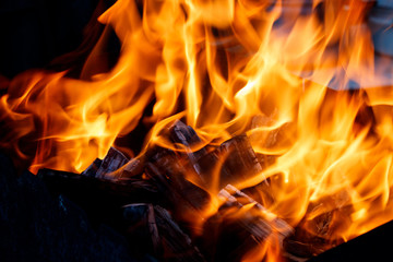 Fire with charcoals. Burning wood. Macro.
