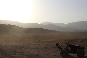 Quod in the desert, South Sinai Governorate, Qesm Sharm Ash Sheikh, Egipt