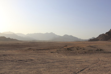 Quod in the desert, South Sinai Governorate, Qesm Sharm Ash Sheikh, Egipt