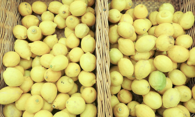Lemons at a market