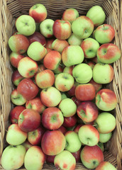Apples at a market