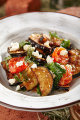 Vegetarian Eggplant Salad with Baked Aubergine, Cherry Tomatoes and Cilantro Close Up