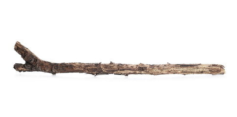 Dry and rotten branch isolated on white background