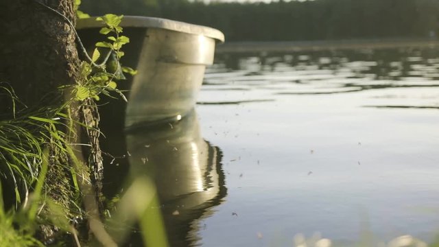 Ruderboot liegt am Strand im Sonnenuntergang mit tanzenden Insekten