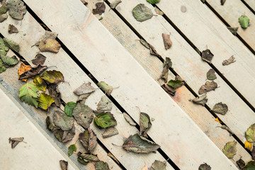 Autumn foliage, fall, season concept.Fallen dry withered leaves lie on bright wooden steps, top view. Wooden stairs with colorful fallen leaves, closeup. 