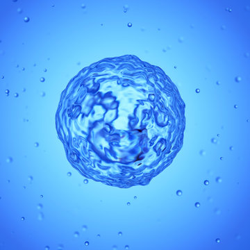 3d rendered medically accurate illustration of a basophil