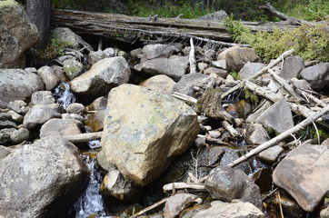 Rocks and trees