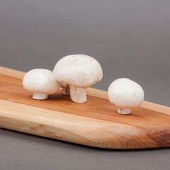 Wooden cutting board on grey background with mushrooms