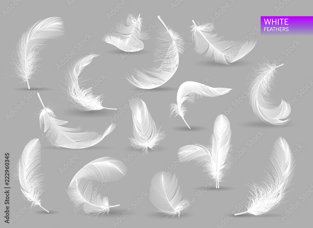 Wall mural realistic feathers. white bird falling feather isolated on white background vector collection. illus