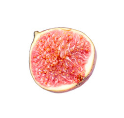 Half of fresh ripe fig on white background