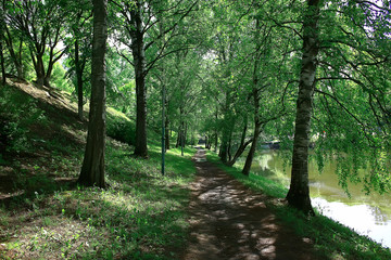 summer park landscape, green trees and walkway in the summer city park