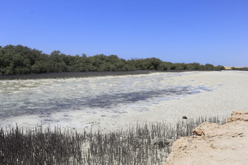 Saline lake, Ras Mohamed Nature Reserve, Qesm Sharm Ash Sheikh, Egypt