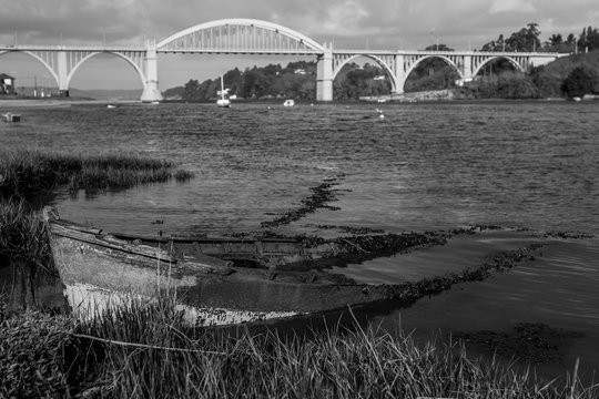 Puente del pedrido