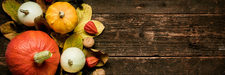 Autumn Harvest and Holiday still life. Happy Thanksgiving Banner. Selection of various pumpkins on dark wooden background. Autumn vegetables and seasonal decorations. - obrazy, fototapety, plakaty