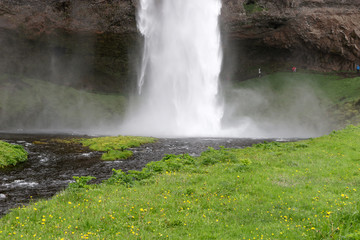 Seljalandsfoss waterfall. Amazing Tourist attraction of Iceland