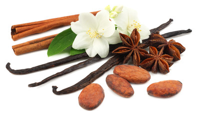 Vanilla sticks with white flower isolated on white background