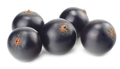 black currant isolated on white background. macro