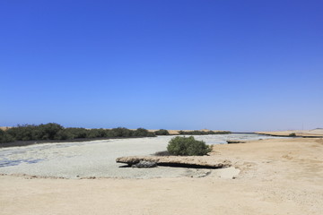 Saline lake, Ras Mohamed Nature Reserve, Qesm Sharm Ash Sheikh, Egypt