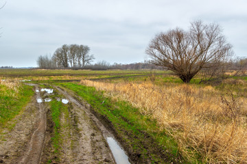 Fototapeta na wymiar The landscape with muddy ground road and the tree in spring fields
