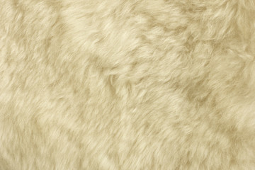 Brown shaggy natural sheep fur texture for background 