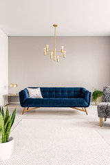 Minimal living room interior with a blue sofa and lots of empty space on the floor and on the...