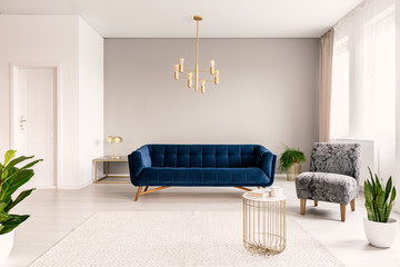 Copy space living room interior with a dark blue couch, a gray armchair and gold accents. Real...
