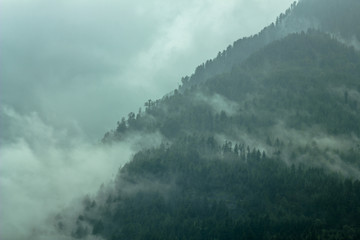 Fototapeta premium morning mountains in the fog