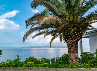 Ausblick auf das Mittelmeer an der Adriaküste 