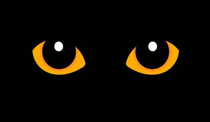 Orange cat eyes in darkness
